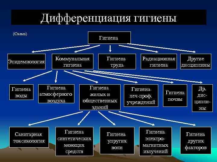 Дифференциация гигиены (Схема) Гигиена Эпидемиология Гигиена воды Коммунальная гигиена Гигиена атмосферного воздуха Санитарная токсикология