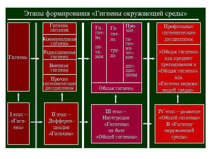 Этапы формирования «Гигиены окружающей среды» Гигиена питания Коммунальная гигиена Гигиена Радиационная гигиена Военная гигиена