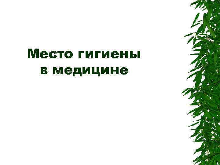 Место гигиены в медицине 