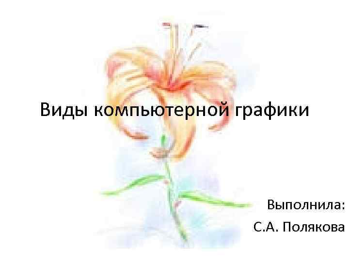 Виды компьютерной графики Выполнила: С. А. Полякова 