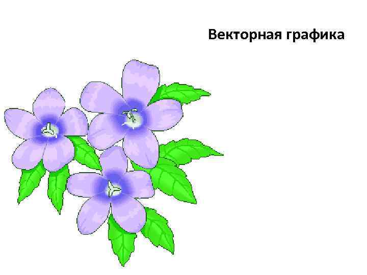 Векторная графика 