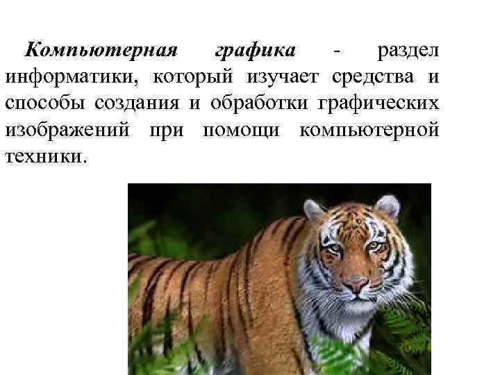 Компьютерная графика раздел информатики, который изучает средства и способы создания и обработки графических изображений