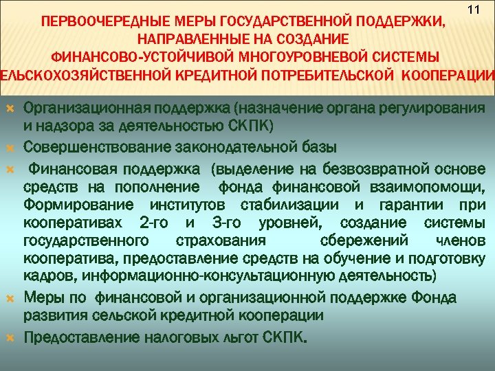11 ПЕРВООЧЕРЕДНЫЕ МЕРЫ ГОСУДАРСТВЕННОЙ ПОДДЕРЖКИ, НАПРАВЛЕННЫЕ НА СОЗДАНИЕ ФИНАНСОВО-УСТОЙЧИВОЙ МНОГОУРОВНЕВОЙ СИСТЕМЫ СЕЛЬСКОХОЗЯЙСТВЕННОЙ КРЕДИТНОЙ ПОТРЕБИТЕЛЬСКОЙ