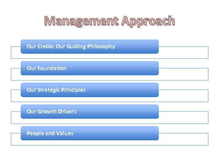 Management Approach Our Credo: Our Guiding Philosophy Our Foundation Our Strategic Principles Our Growth