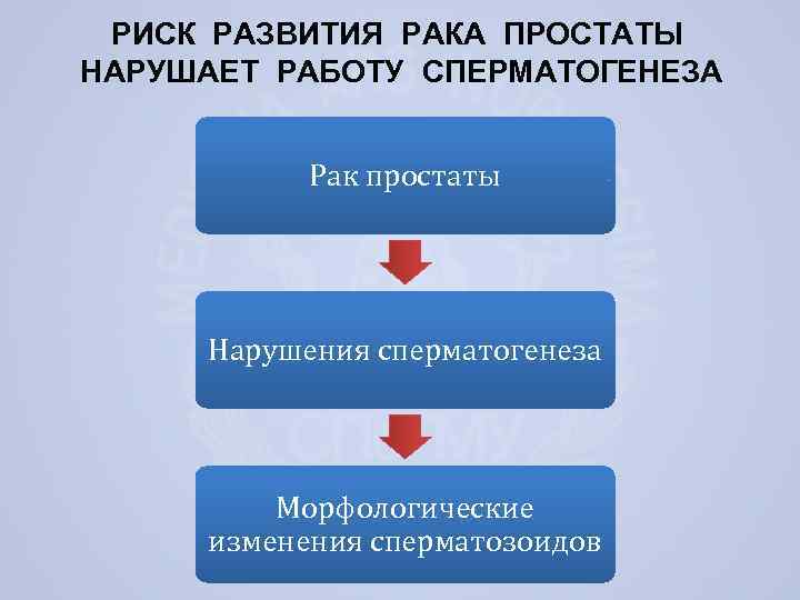 РИСК РАЗВИТИЯ РАКА ПРОСТАТЫ НАРУШАЕТ РАБОТУ СПЕРМАТОГЕНЕЗА Рак простаты Нарушения сперматогенеза Морфологические изменения сперматозоидов