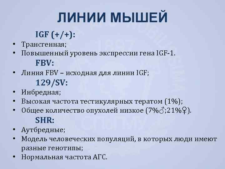 ЛИНИИ МЫШЕЙ IGF (+/+): • Трансгенная; • Повышенный уровень экспрессии гена IGF-1. FBV: •