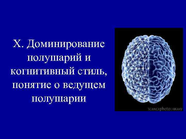 X. Доминирование полушарий и когнитивный стиль, понятие о ведущем полушарии 