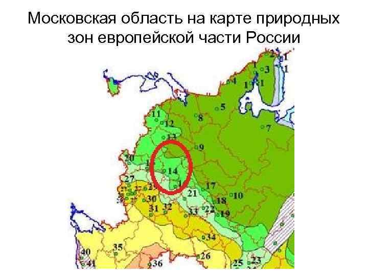 Территориальное зонирование московской области