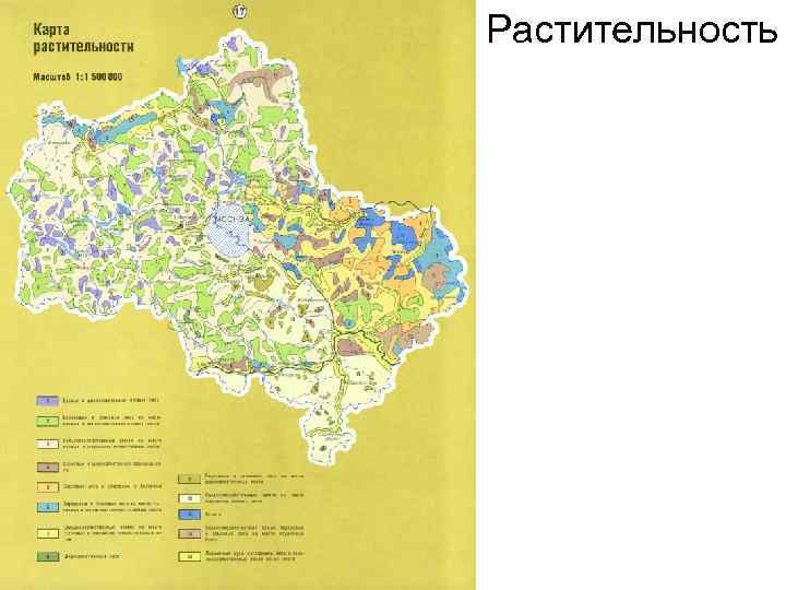 Природные зоны московской области карта