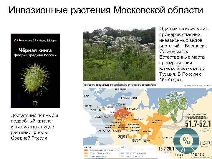 Редкие растения московской области фото и описание