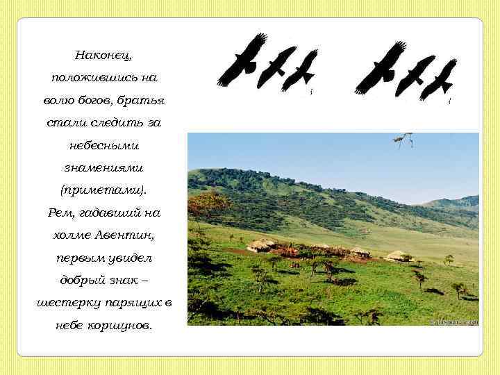 Наконец, положившись на волю богов, братья стали следить за небесными знамениями (приметами). Рем, гадавший