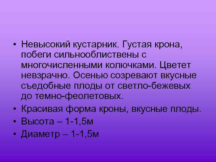  • Невысокий кустарник. Густая крона, побеги сильнооблиствены с многочисленными колючками. Цветет невзрачно. Осенью