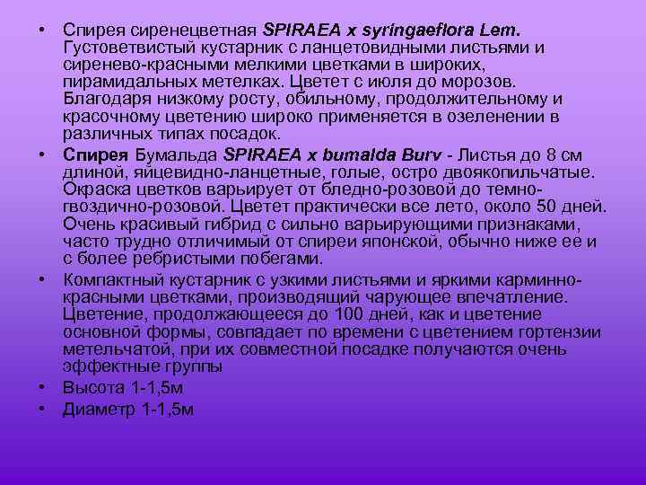  • Спирея сиренецветная SPIRAEA x syringaeflora Lem. Густоветвистый кустарник с ланцетовидными листьями и