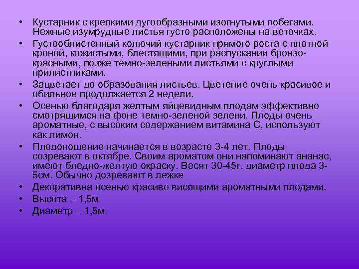  • Кустарник с крепкими дугообразными изогнутыми побегами. Нежные изумрудные листья густо расположены на