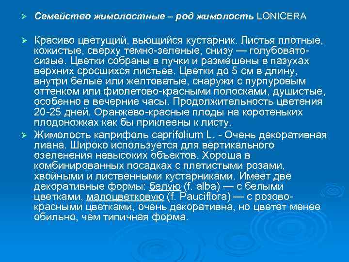 Ø Семейство жимолостные – род жимолость LONICERA Красиво цветущий, вьющийся кустарник. Листья плотные, кожистые,