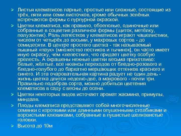 Ø Ø Ø Листья клематисов парные, простые или сложные, состоящие из трёх, пяти или