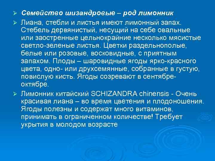 Семейство шизандровые – род лимонник Ø Лиана, стебли и листья имеют лимонный запах. Стебель