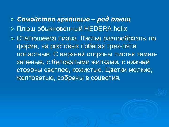 Семейство араливые – род плющ Ø Плющ обыкновенный HEDERA helix Ø Стелющееся лиана. Листья