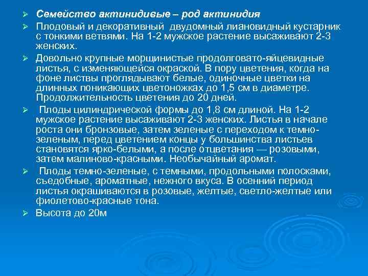 Ø Ø Ø Семейство актинидивые – род актинидия Плодовый и декоративный двудомный лиановидный кустарник