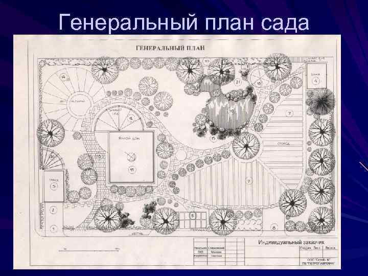 Схема парка рисунок. Генплан малого сада. План сада чертеж. Проект зимнего сада с генеральный план. Структурный план сада.