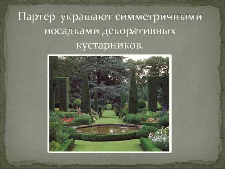 Партер украшают симметричными посадками декоративных кустарников. 