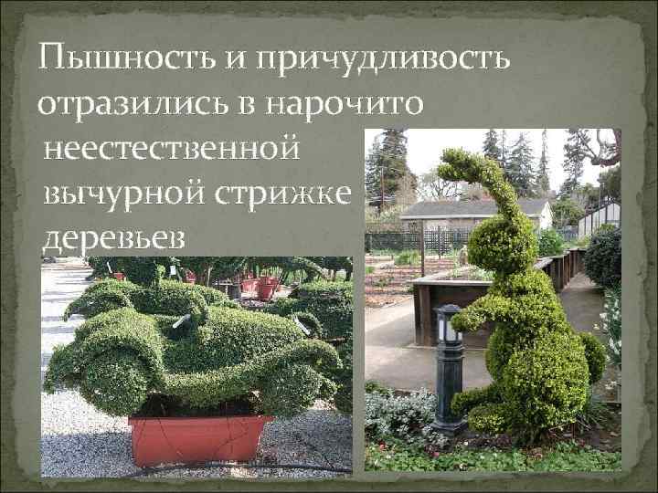 Пышность и причудливость отразились в нарочито неестественной вычурной стрижке деревьев 