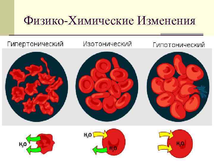 Физико-Химические Изменения 
