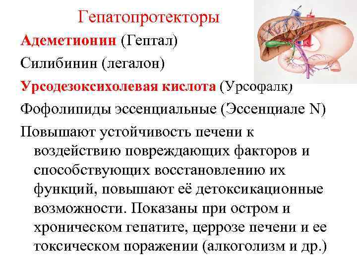 Гепатопротекторы Адеметионин (Гептал) Силибинин (легалон) Урсодезоксихолевая кислота (Урсофалк) Фофолипиды эссенциальные (Эссенциале N) Повышают устойчивость