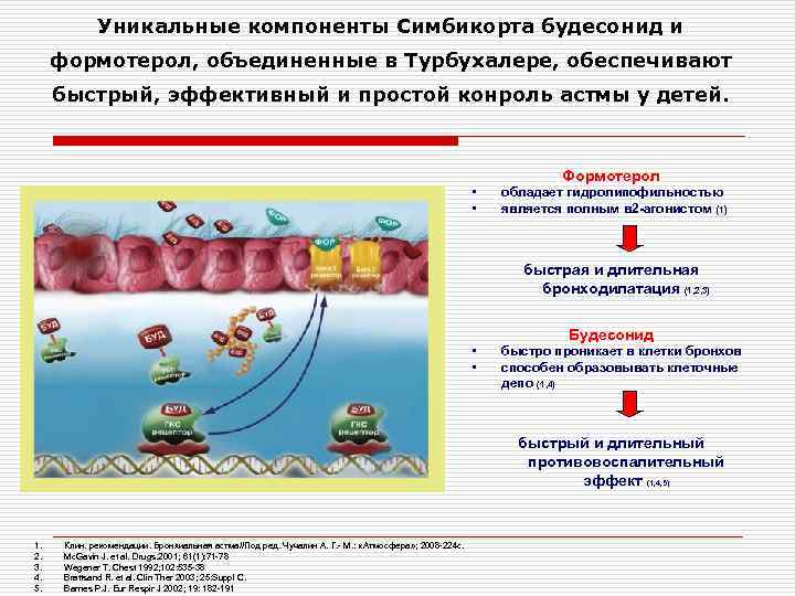 Уникальные компоненты Симбикорта будесонид и формотерол, объединенные в Турбухалере, обеспечивают быстрый, эффективный и простой