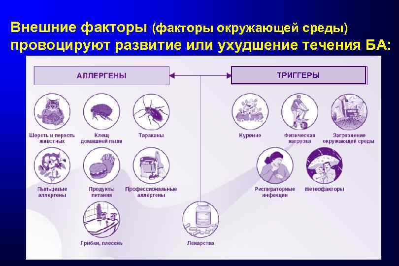 Внешние факторы (факторы окружающей среды) провоцируют развитие или ухудшение течения БА: ТРИГГЕРЫ 