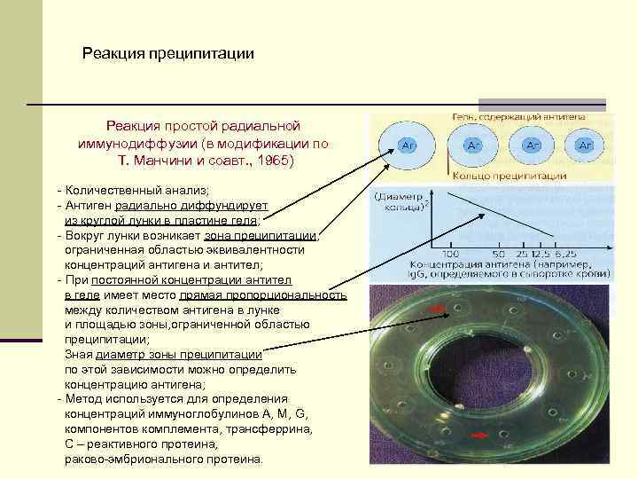 Реакция преципитации Реакция простой радиальной иммунодиффузии (в модификации по Т. Манчини и соавт. ,