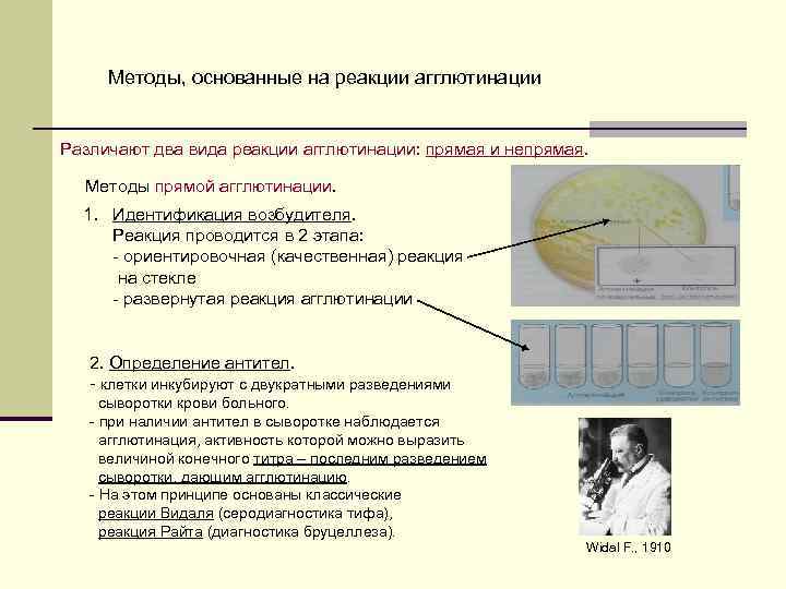 Методы, основанные на реакции агглютинации Различают два вида реакции агглютинации: прямая и непрямая. Методы