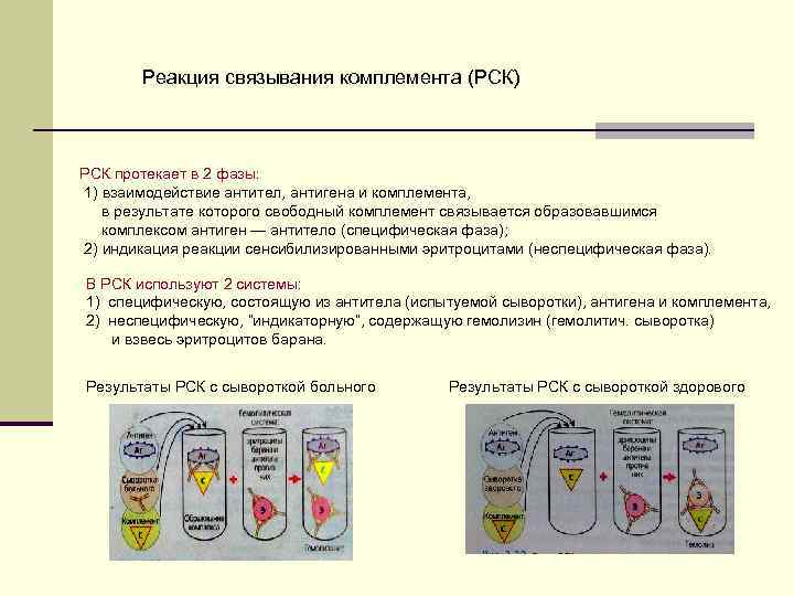 Реакция связывания комплемента микробиология