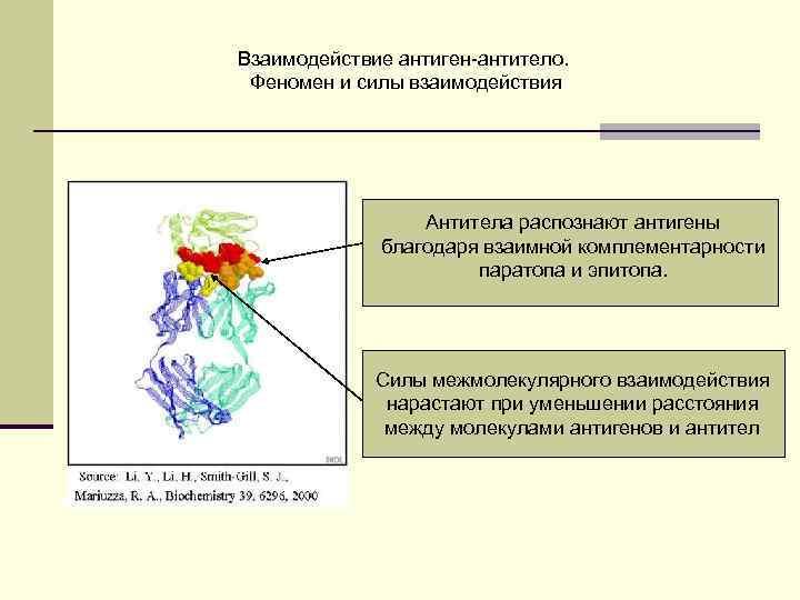 Механизм антиген антитело