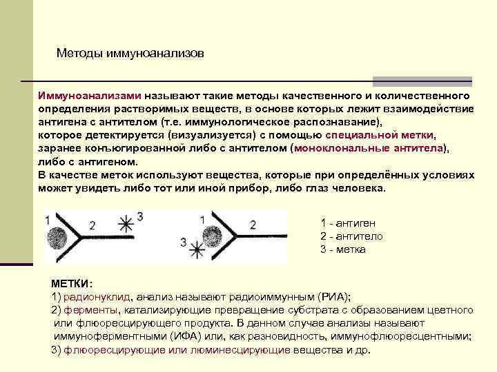 Методы иммуноанализов Иммуноанализами называют такие методы качественного и количественного определения растворимых веществ, в основе