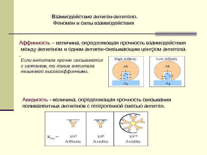 Механизм антиген антитело