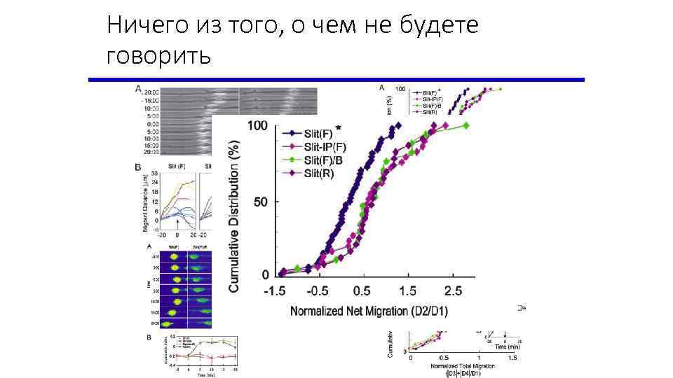 Ничего из того, о чем не будете говорить 