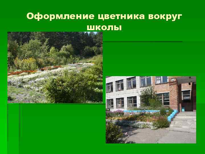 Оформление цветника вокруг школы 