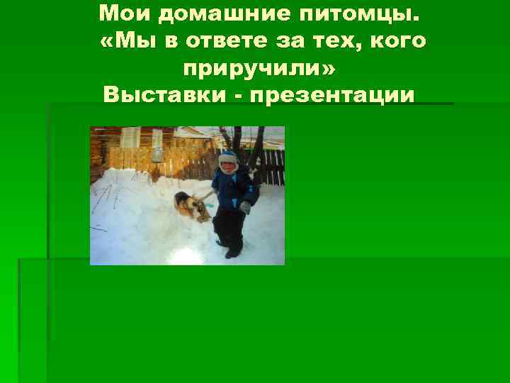 Мои домашние питомцы. «Мы в ответе за тех, кого приручили» Выставки - презентации 
