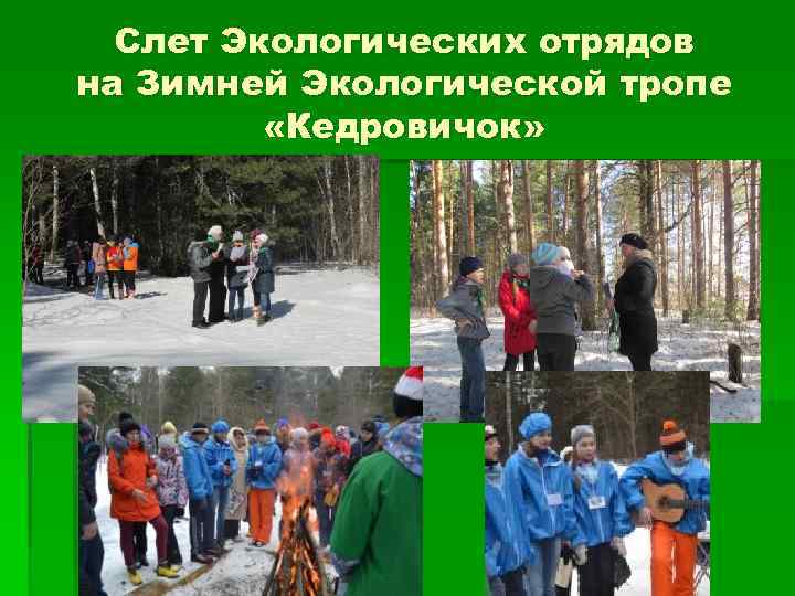 Слет Экологических отрядов на Зимней Экологической тропе «Кедровичок» 