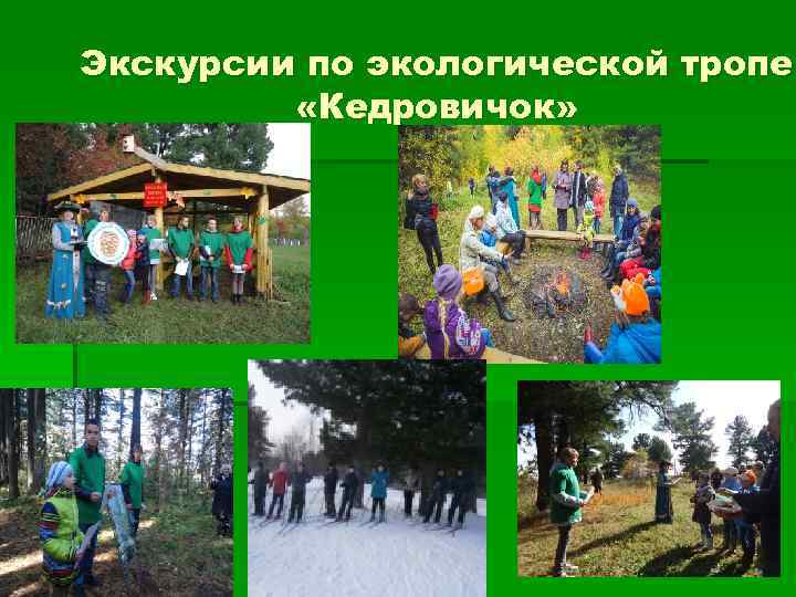 Экскурсии по экологической тропе «Кедровичок» 