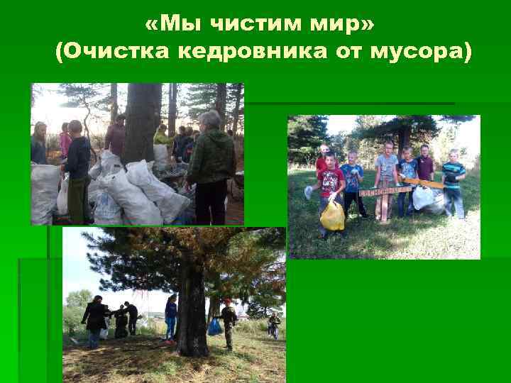  «Мы чистим мир» (Очистка кедровника от мусора) 