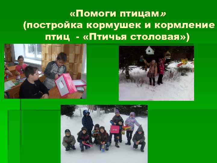  «Помоги птицам» (постройка кормушек и кормление птиц - «Птичья столовая» ) 