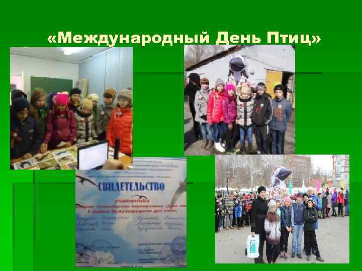  «Международный День Птиц» 