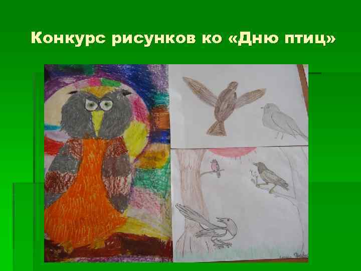 Конкурс рисунков ко «Дню птиц» 