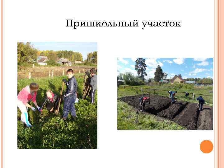 Пришкольный участок 