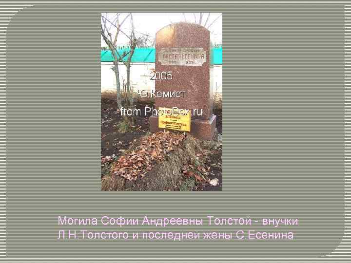 Могила Софии Андреевны Толстой - внучки Л. Н. Толстого и последней жены С. Есенина