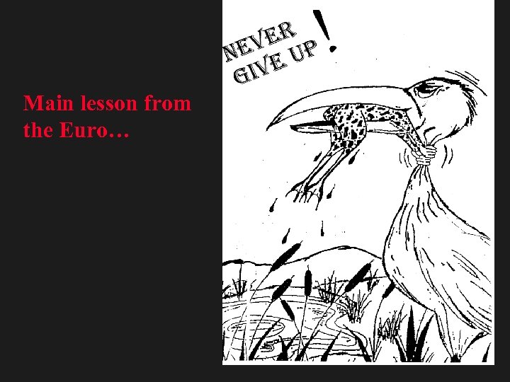 Main lesson from the Euro… 