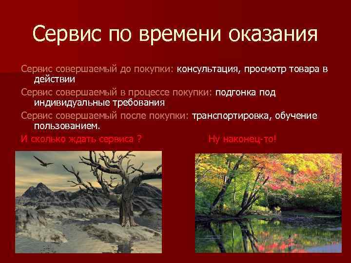 Сервис по времени оказания Сервис совершаемый до покупки: консультация, просмотр товара в действии Сервис