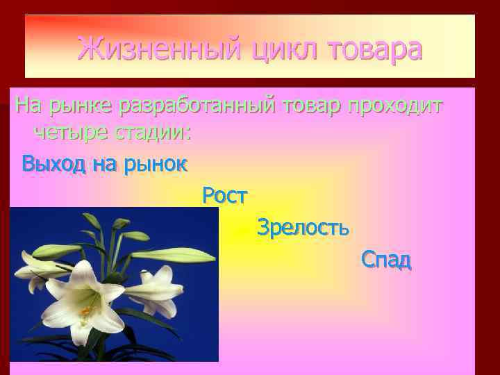 Жизненный цикл товара На рынке разработанный товар проходит четыре стадии: Выход на рынок Рост